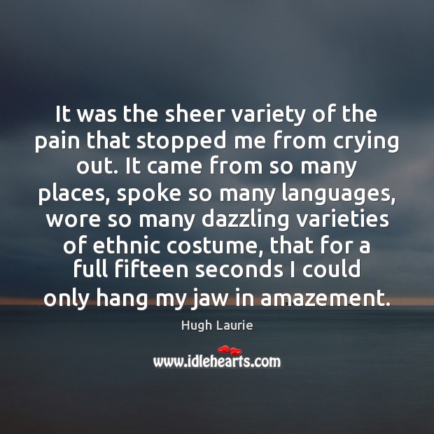 It was the sheer variety of the pain that stopped me from Hugh Laurie Picture Quote
