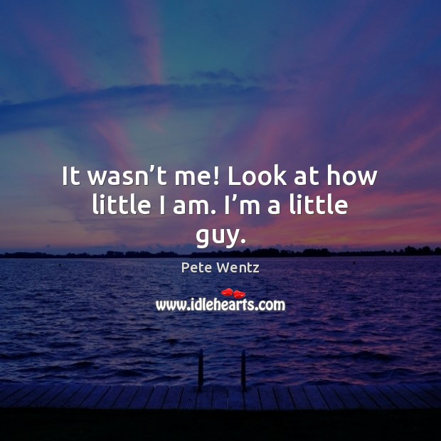 It wasn’t me! Look at how little I am. I’m a little guy. Pete Wentz Picture Quote