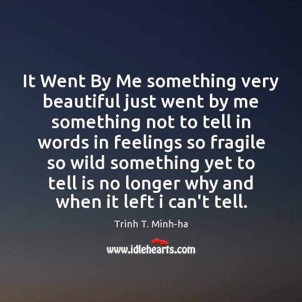 It Went By Me something very beautiful just went by me something Trinh T. Minh-ha Picture Quote