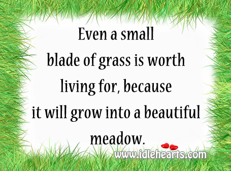 Even a small blade of grass is worth living for Image