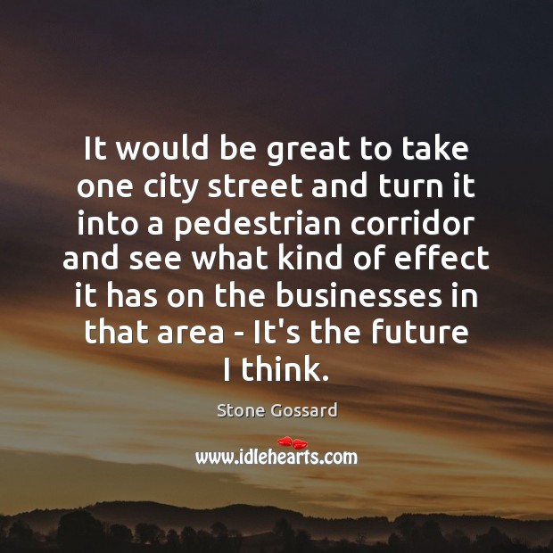 It would be great to take one city street and turn it Stone Gossard Picture Quote