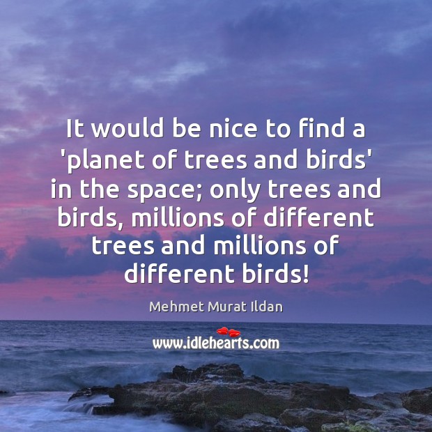 It would be nice to find a ‘planet of trees and birds’ Mehmet Murat Ildan Picture Quote