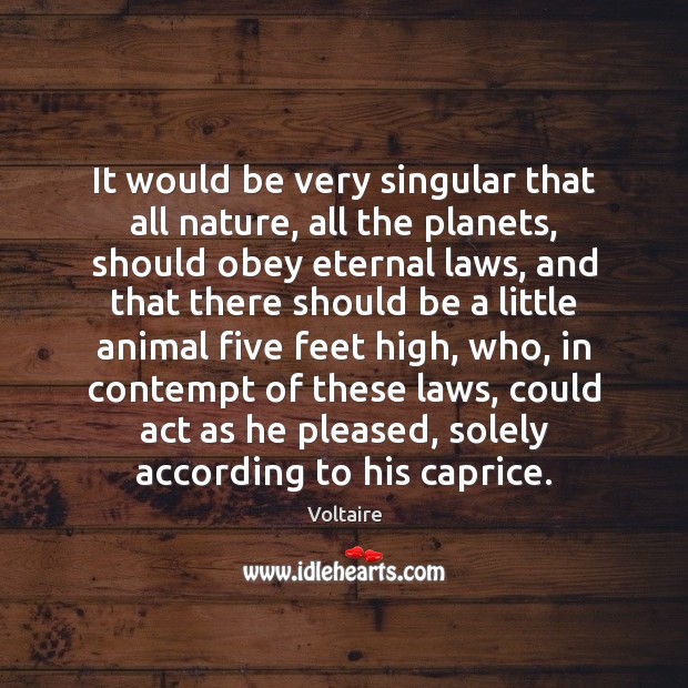 It would be very singular that all nature, all the planets, should 