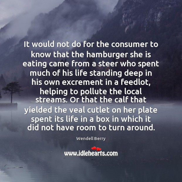 It would not do for the consumer to know that the hamburger Wendell Berry Picture Quote