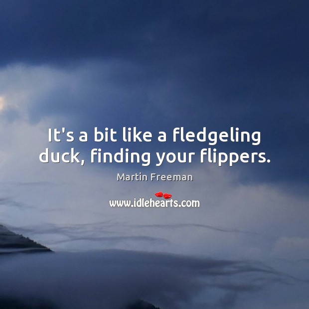 It’s a bit like a fledgeling duck, finding your flippers. Martin Freeman Picture Quote