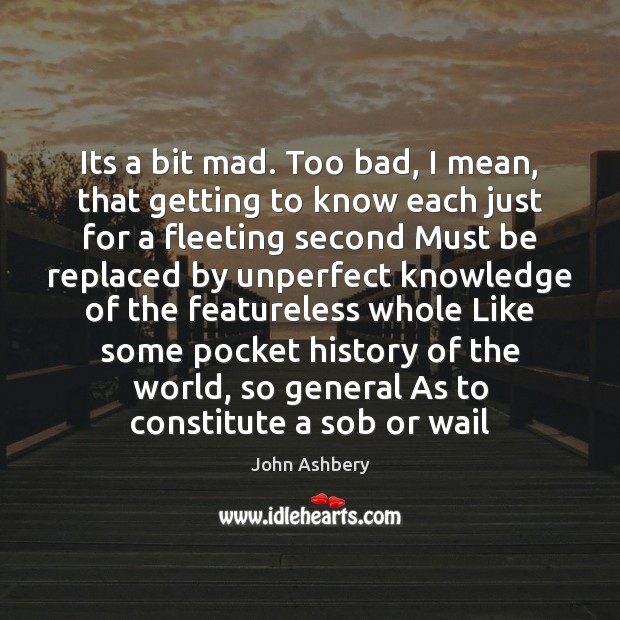 Its a bit mad. Too bad, I mean, that getting to know John Ashbery Picture Quote