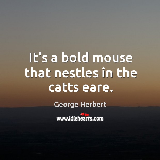 It’s a bold mouse that nestles in the catts eare. George Herbert Picture Quote
