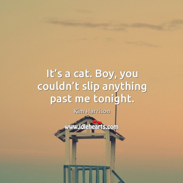 It’s a cat. Boy, you couldn’t slip anything past me tonight. Kim Harrison Picture Quote