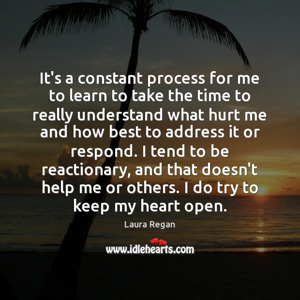 It’s a constant process for me to learn to take the time Hurt Quotes Image