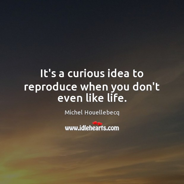 It’s a curious idea to reproduce when you don’t even like life. Michel Houellebecq Picture Quote