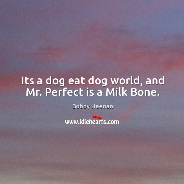 Its a dog eat dog world, and Mr. Perfect is a Milk Bone. Image