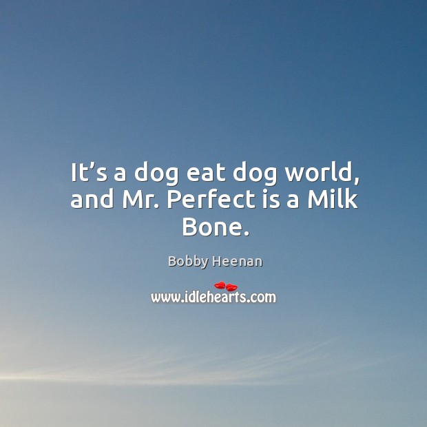 It’s a dog eat dog world, and mr. Perfect is a milk bone. Bobby Heenan Picture Quote