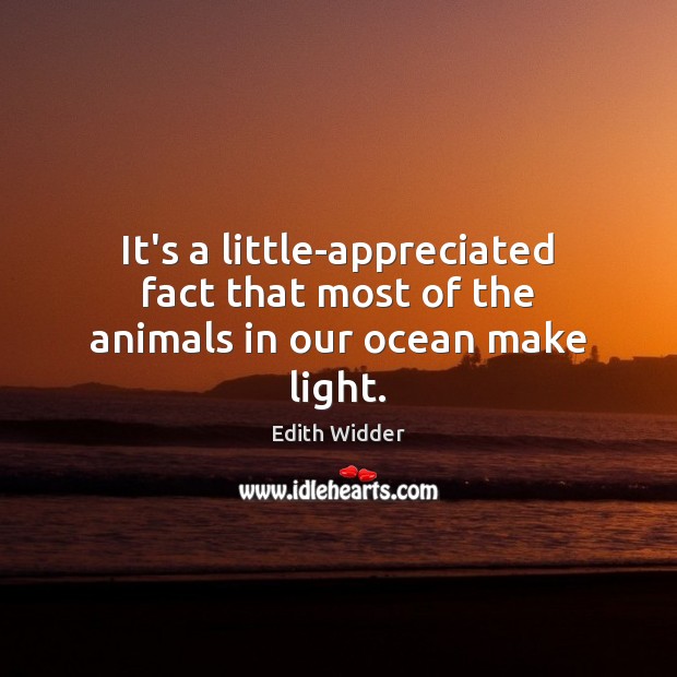 It’s a little-appreciated fact that most of the animals in our ocean make light. Edith Widder Picture Quote