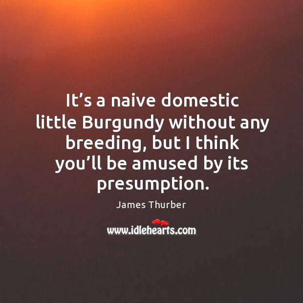 It’s a naive domestic little burgundy without any breeding, but I think you’ll be amused by its presumption. James Thurber Picture Quote
