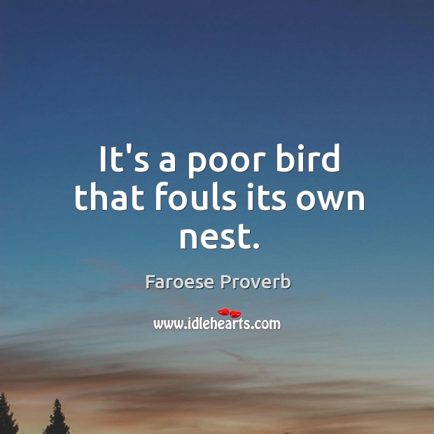 It’s a poor bird that fouls its own nest. Faroese Proverbs Image