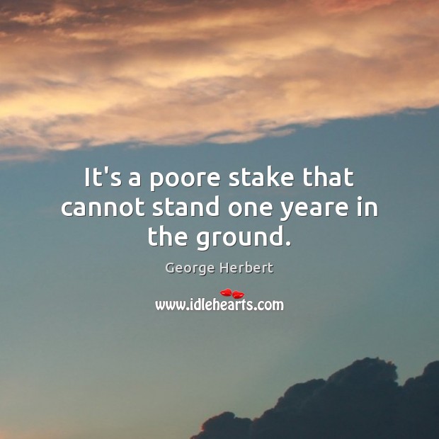 It’s a poore stake that cannot stand one yeare in the ground. George Herbert Picture Quote
