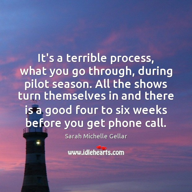It’s a terrible process, what you go through, during pilot season. All Sarah Michelle Gellar Picture Quote