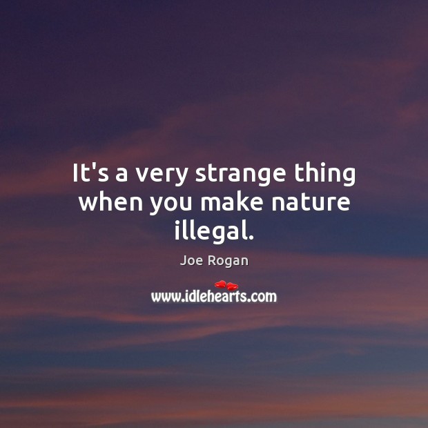 It’s a very strange thing when you make nature illegal. Image