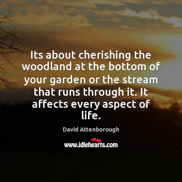 Its about cherishing the woodland at the bottom of your garden or David Attenborough Picture Quote