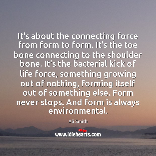 It’s about the connecting force from form to form. It’s the toe Ali Smith Picture Quote