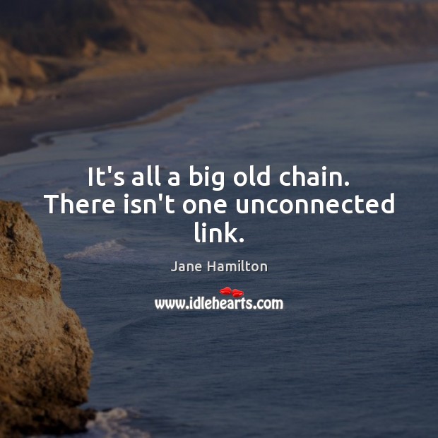 It’s all a big old chain. There isn’t one unconnected link. Jane Hamilton Picture Quote