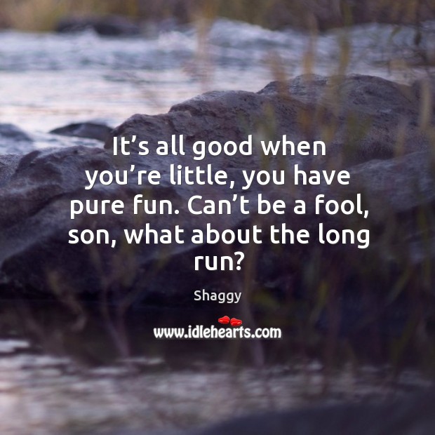 It’s all good when you’re little, you have pure fun. Can’t be a fool, son, what about the long run? Shaggy Picture Quote