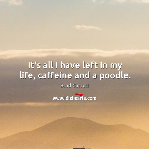 It’s all I have left in my life, caffeine and a poodle. Brad Garrett Picture Quote