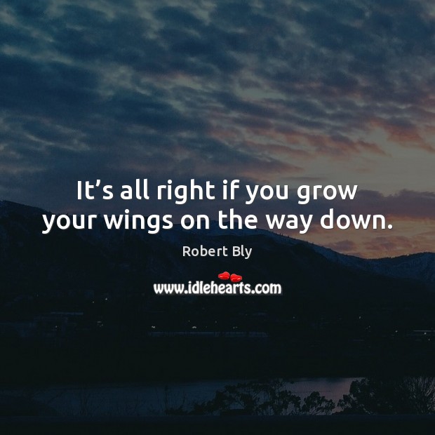 It’s all right if you grow your wings on the way down. Robert Bly Picture Quote