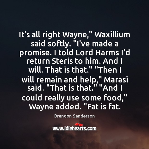 It’s all right Wayne,” Waxillium said softly. “I’ve made a promise. I Promise Quotes Image