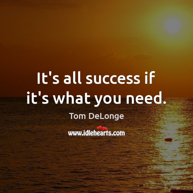 It’s all success if it’s what you need. Tom DeLonge Picture Quote