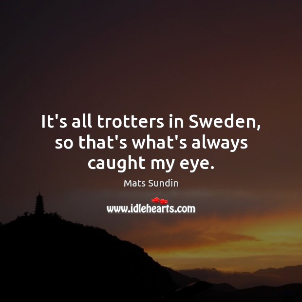 It’s all trotters in Sweden, so that’s what’s always caught my eye. Mats Sundin Picture Quote