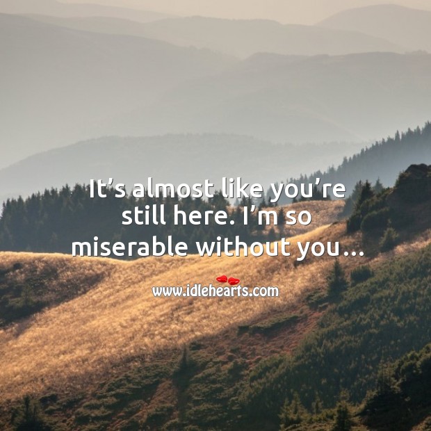 It’s almost like you’re still here. I’m so miserable without you… Image