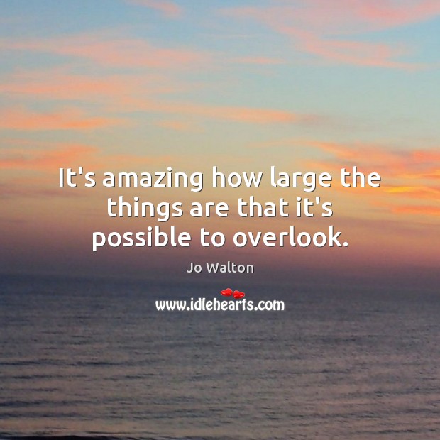 It’s amazing how large the things are that it’s possible to overlook. Jo Walton Picture Quote