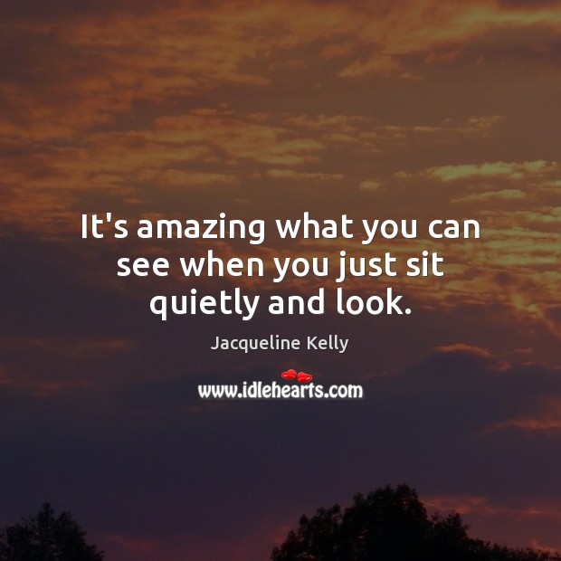 It’s amazing what you can see when you just sit quietly and look. Jacqueline Kelly Picture Quote