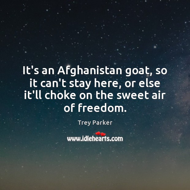 It’s an Afghanistan goat, so it can’t stay here, or else it’ll Image