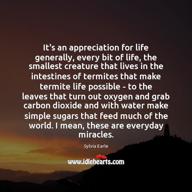 It’s an appreciation for life generally, every bit of life, the smallest 