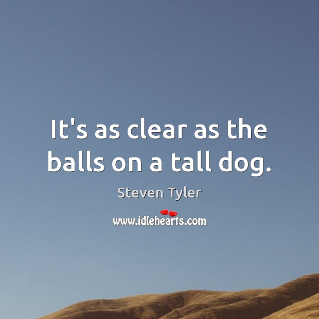 It’s as clear as the balls on a tall dog. Steven Tyler Picture Quote