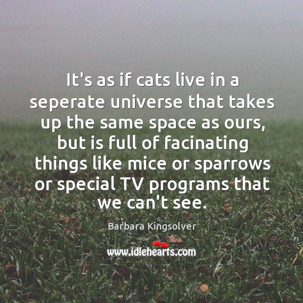 It’s as if cats live in a seperate universe that takes up Barbara Kingsolver Picture Quote