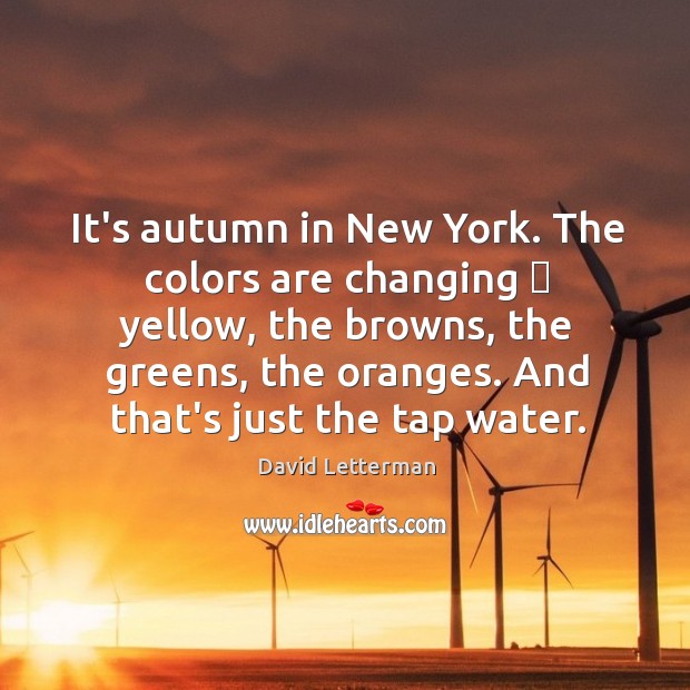 It’s autumn in New York. The colors are changing  yellow, the browns, David Letterman Picture Quote