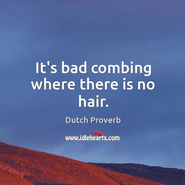 It’s bad combing where there is no hair. Dutch Proverbs Image