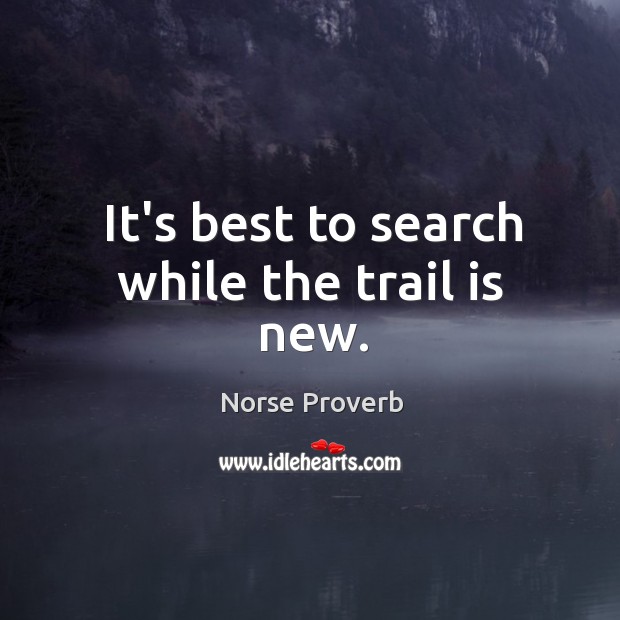 It’s best to search while the trail is new. Norse Proverbs Image