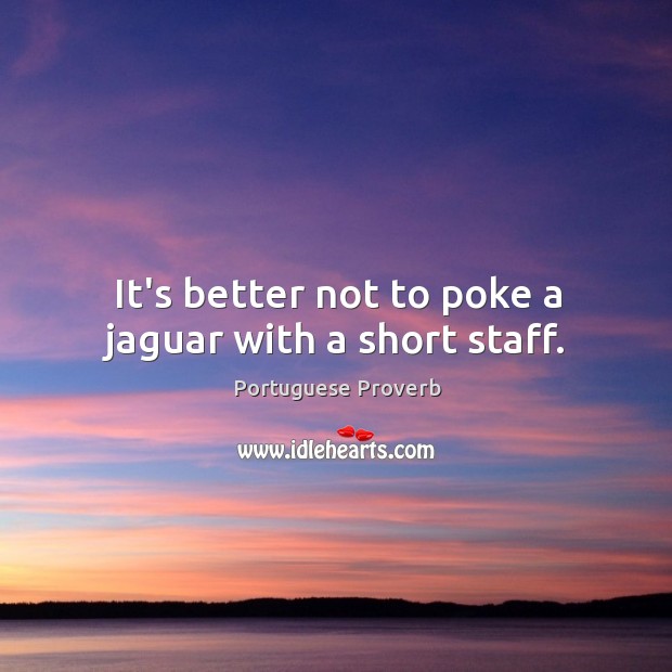 It’s better not to poke a jaguar with a short staff. Portuguese Proverbs Image