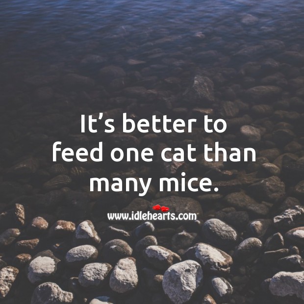 It’s better to feed one cat than many mice. Image
