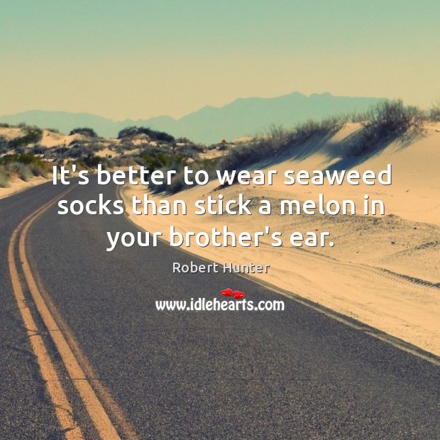 It’s better to wear seaweed socks than stick a melon in your brother’s ear. Robert Hunter Picture Quote