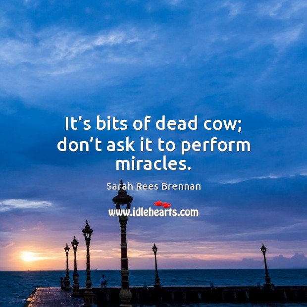 It’s bits of dead cow; don’t ask it to perform miracles. Sarah Rees Brennan Picture Quote