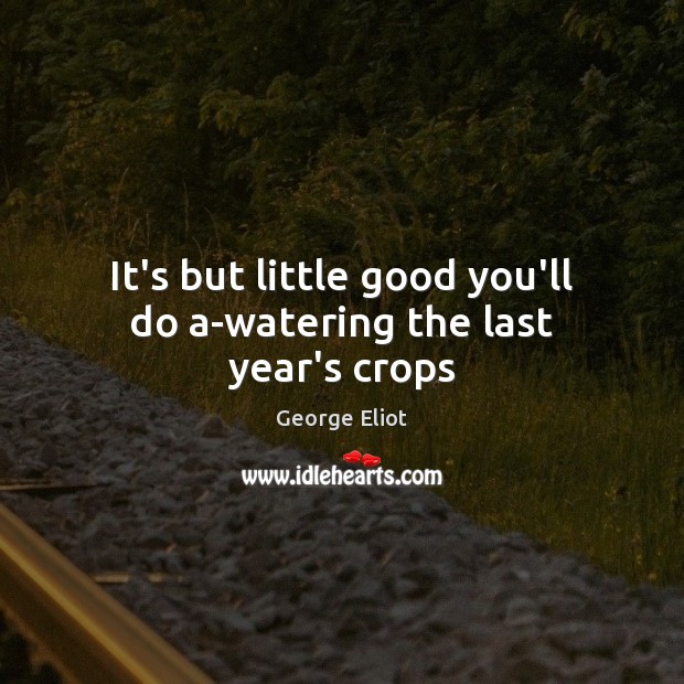 It’s but little good you’ll do a-watering the last year’s crops George Eliot Picture Quote
