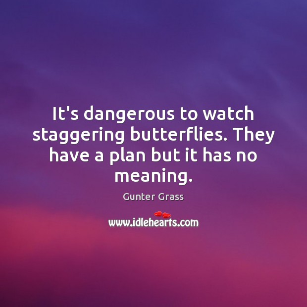 It’s dangerous to watch staggering butterflies. They have a plan but it has no meaning. Gunter Grass Picture Quote