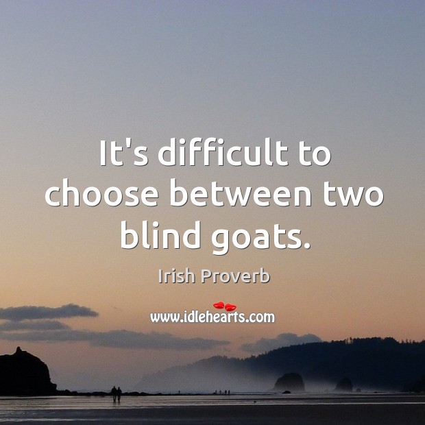 It’s difficult to choose between two blind goats. Irish Proverbs Image