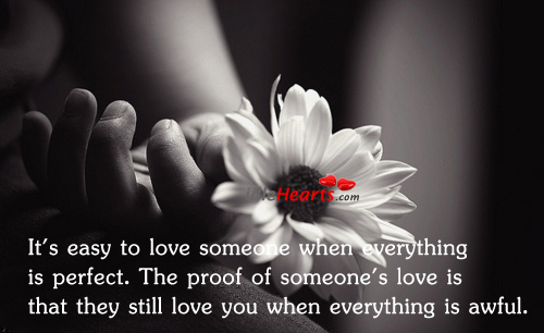 It’s easy to love someone when everything is. Love Someone Quotes Image