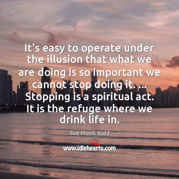 It’s easy to operate under the illusion that what we are doing Sue Monk Kidd Picture Quote
